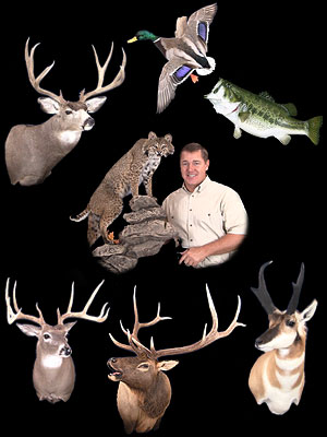 Taxidermy School - Taxidermy Videos teaching how to taxidermy from home
