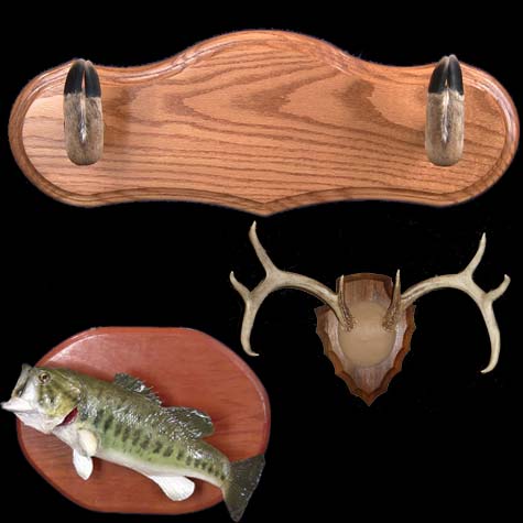 Gun Rack - Deer Feet Gun or Hat Rack