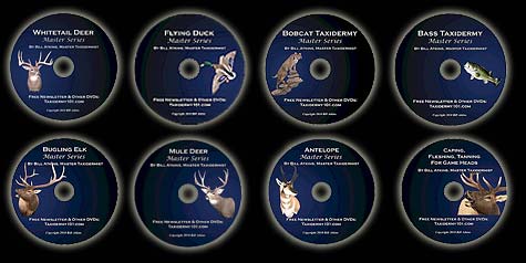 Taxidermy Courses on Video - includes Deer, Fish, Duck, Bobcat, Elk, Mule Deer, Antelope and Tanning for Taxidermy - All for beginners!